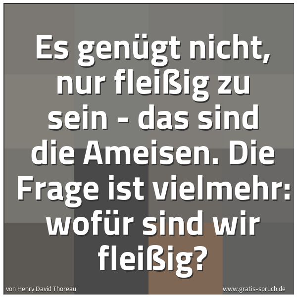 Quadratisches Spruchbild: Es genügt nicht, nur fleißig zu sein - das sind die Ameisen. Die Frage ist vielmehr: wofür …