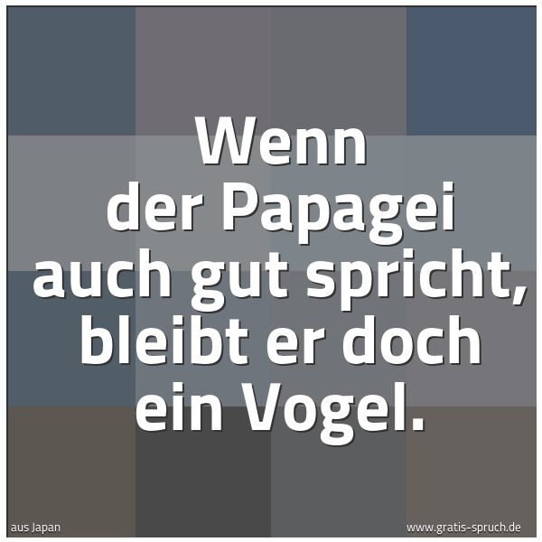 Quadratisches Spruchbild: Wenn der Papagei auch gut spricht, bleibt er doch ein Vogel.